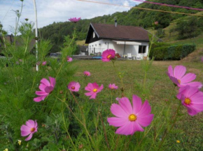 Gîte La Bresse, 2 pièces, 3 personnes - FR-1-589-168